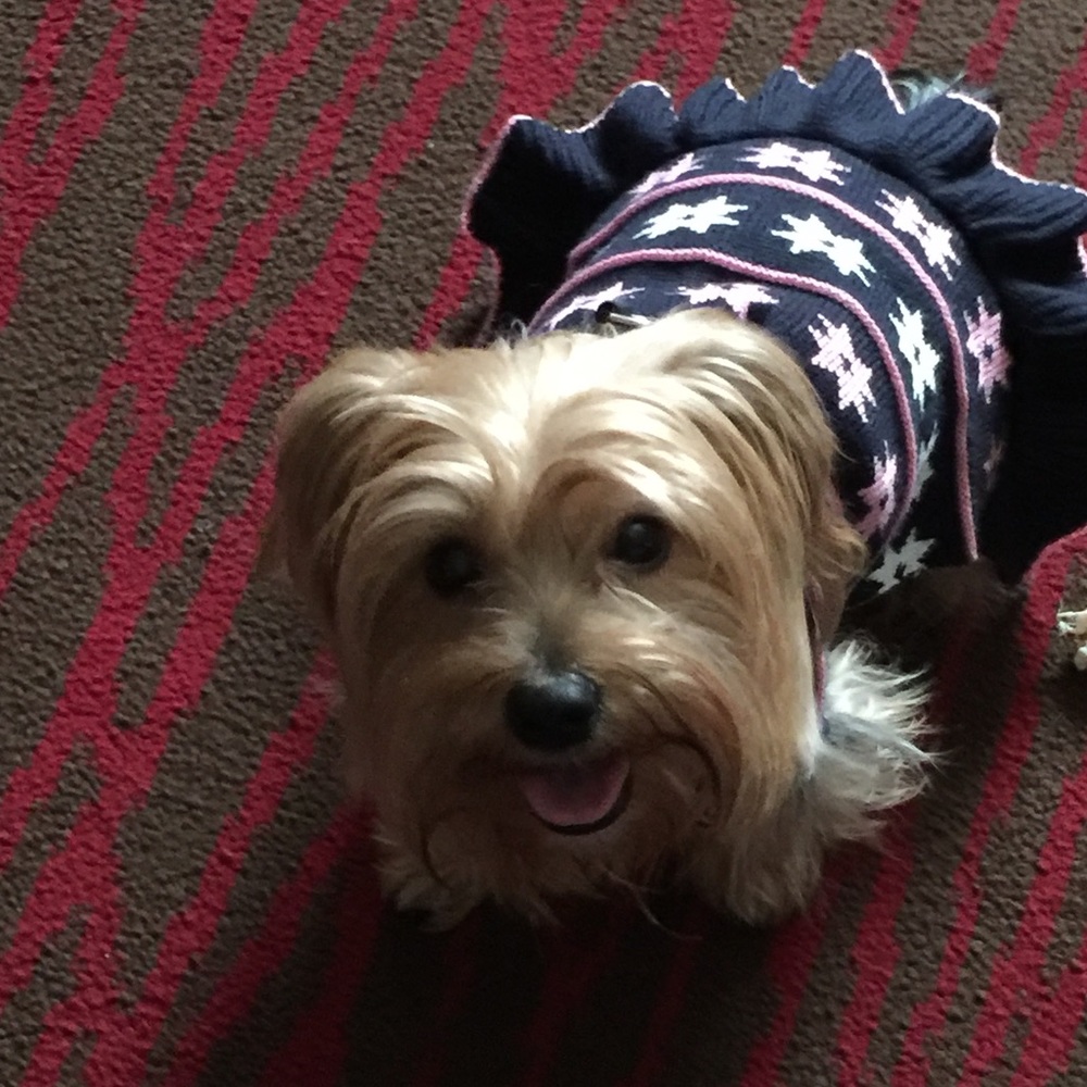 Meet your Posher, Wendy